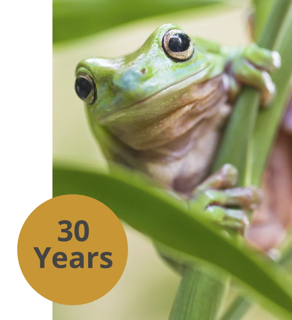 Home Page_Frog30