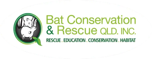 Bats Conservation and Rescue