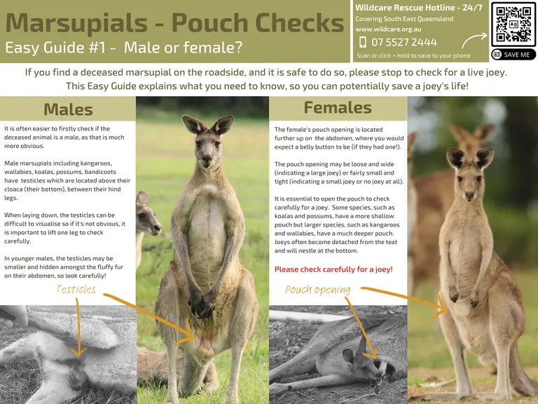 Easy Guide 1