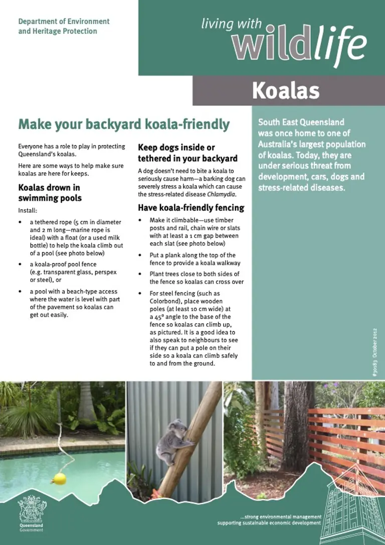 Make your backyard koala friendly
