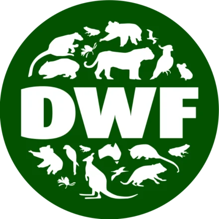 DWF Logo White BG large