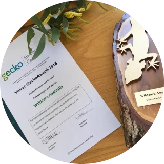 Objectives Gecko Award