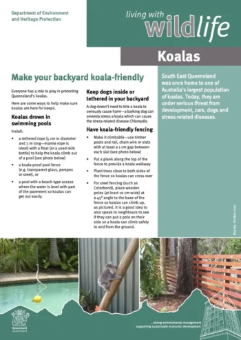 Make your backyard koala friendly